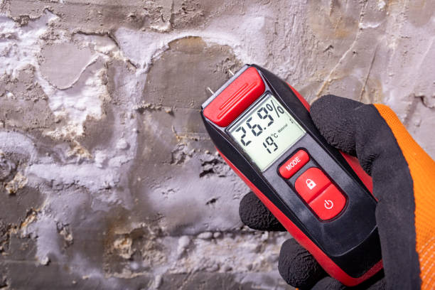 Certified Mold Removal in Hide A Way Lake, MS