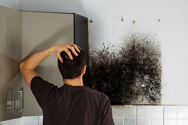 Best Attic Mold Removal  in Hide A Way Lake, MS