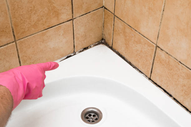 Best Mold Damage Repair  in Hide A Way Lake, MS